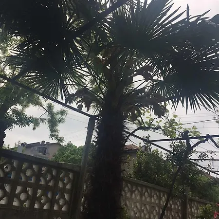 In בית הארחה *